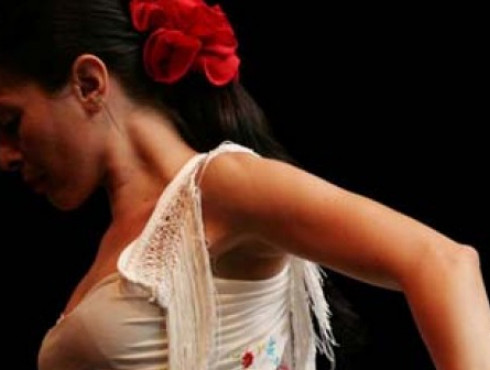 flamenco-unterricht-in-stuttgart-tanzunterricht-3e76b.jpg