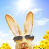 sommerwetter-an-ostern-2020-die-wetteraussichten-werden-sonniger-239711-1.jpg